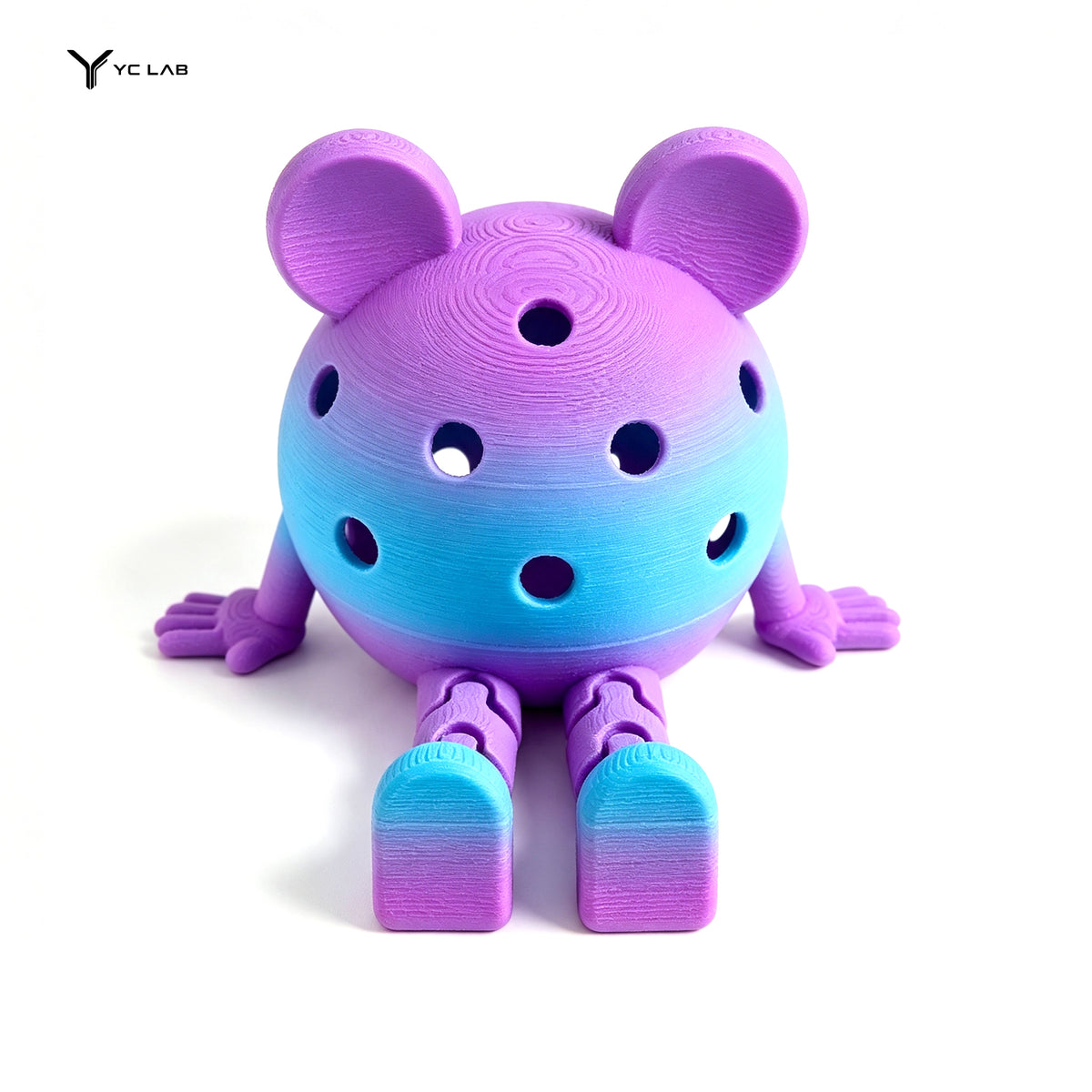 YC LAB Rainbow Pickleball Cartoon Mascot Accessory